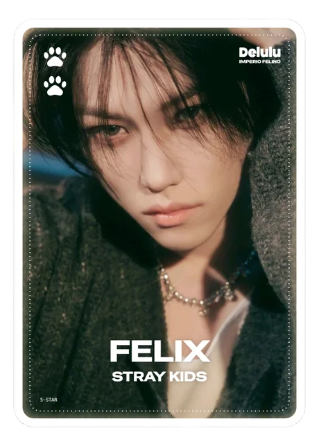 Photocard de Felix, Stray Kids